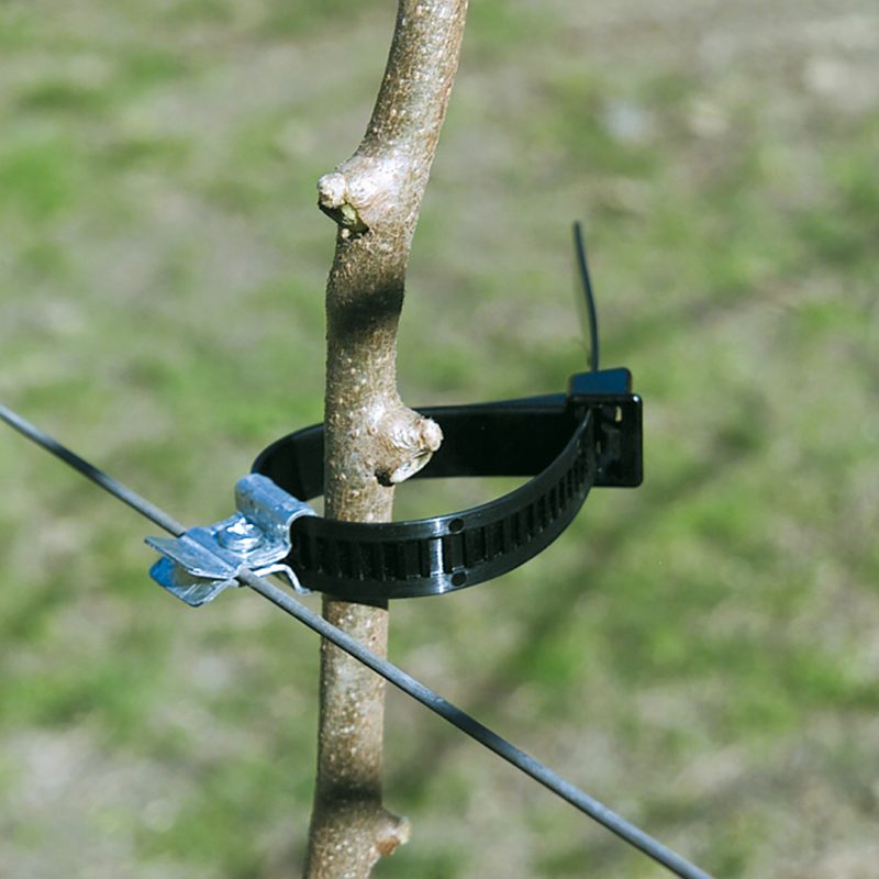 Uni Tye used in fruit tree orchard around young tree.